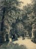 Шишкин И. Аллея Летнего сада в Петербурге. 1869